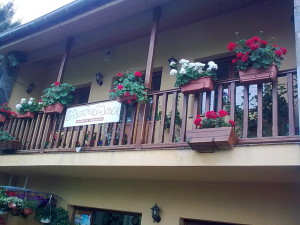 Centro de Jardinería Motomar Oviñana