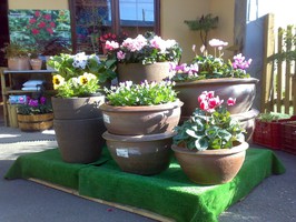 Decoración y mobiliario