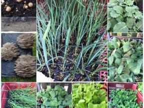 Maquinaria en alquiler