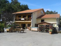 punto de venta jardineria