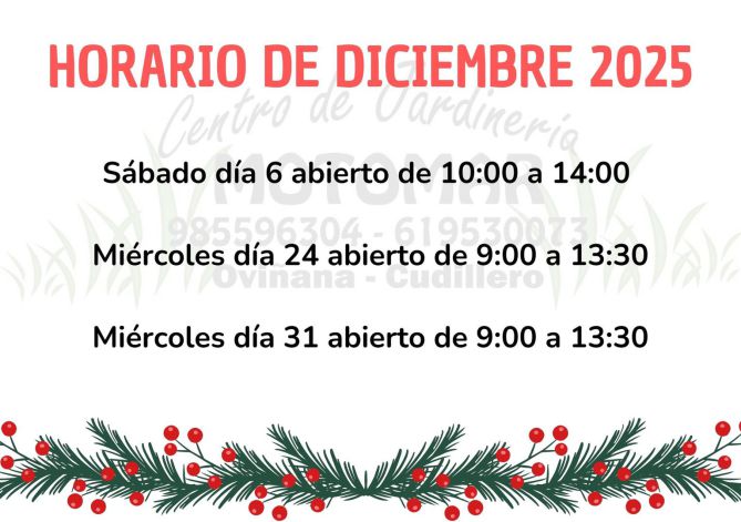HORARIO NAVIDADES 2025