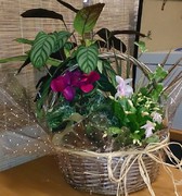 Centro de flores para regalo